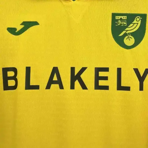 Norwich City 25/26  1º Equipación - Imagen 2
